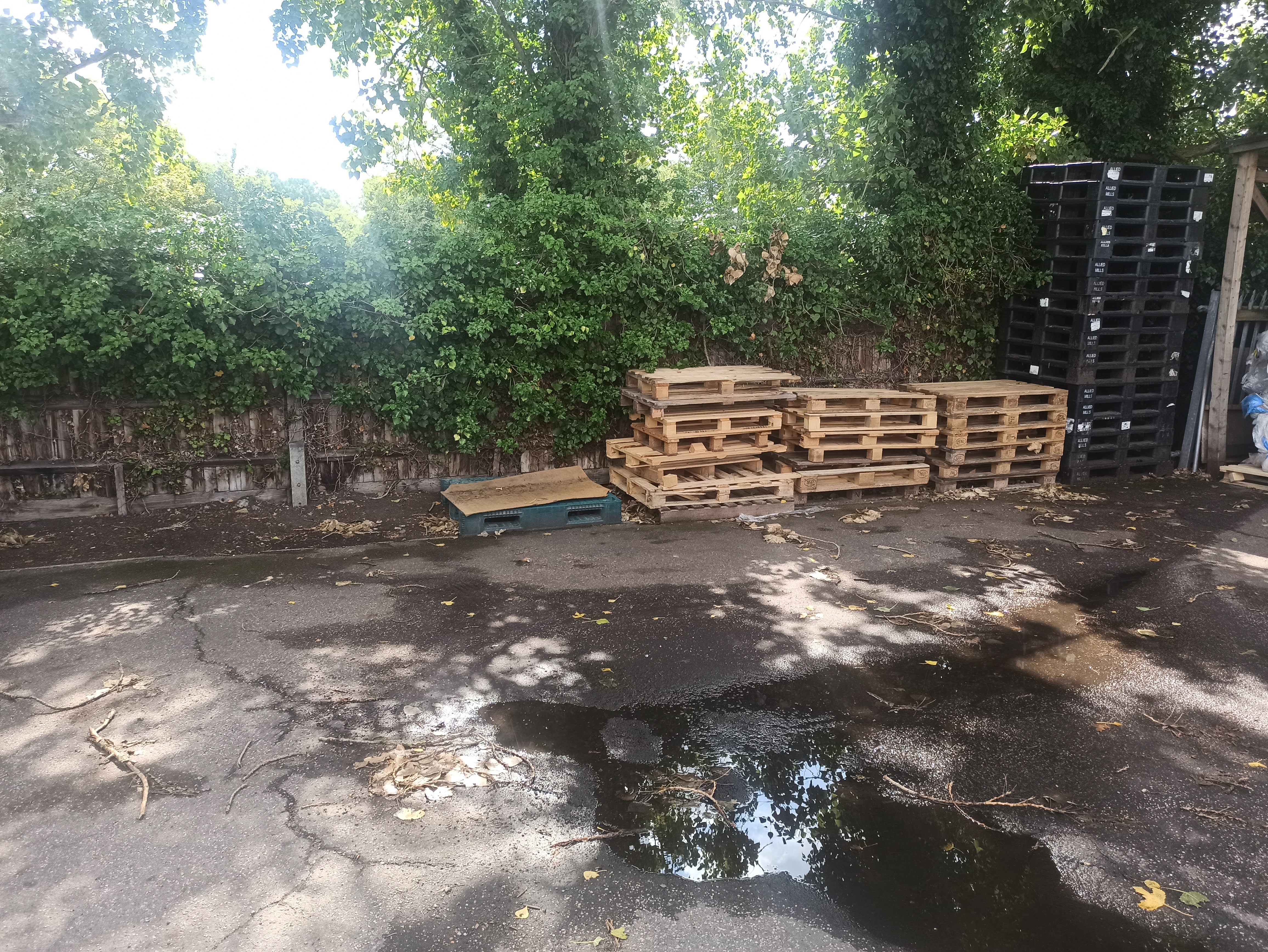 Rubbish removal in Stapleford Abbotts RM4